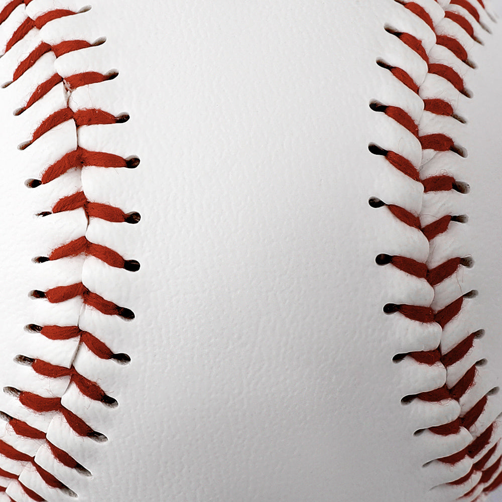 Baseball flamingo